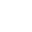 XLSX